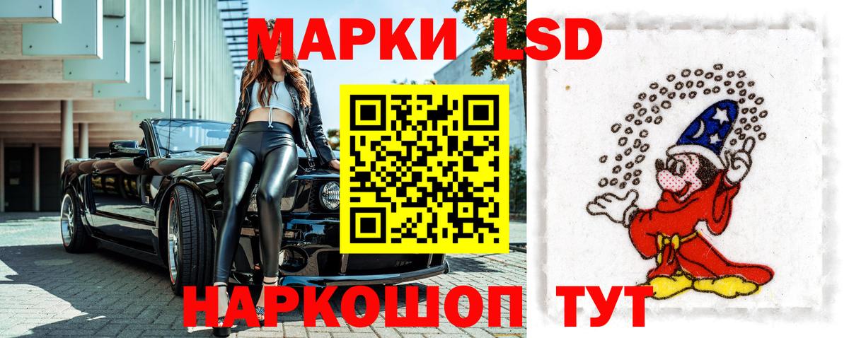 Галлюциногенные грибы Отрадный