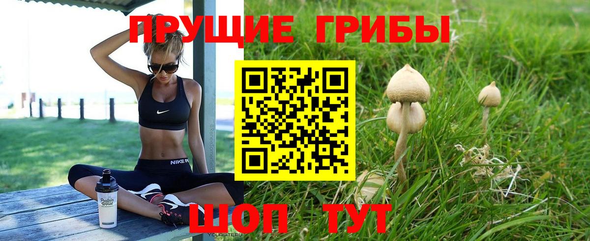Псилоцибиновые грибы Cubensis Отрадный